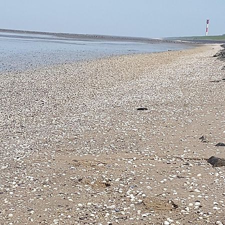 Haus Am Meer Eckwarden Butjadingen Bagian luar foto