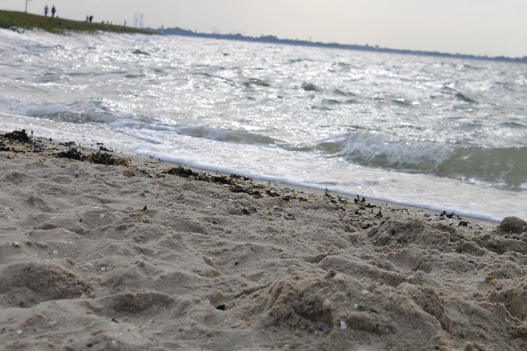Haus Am Meer Eckwarden Butjadingen Bagian luar foto